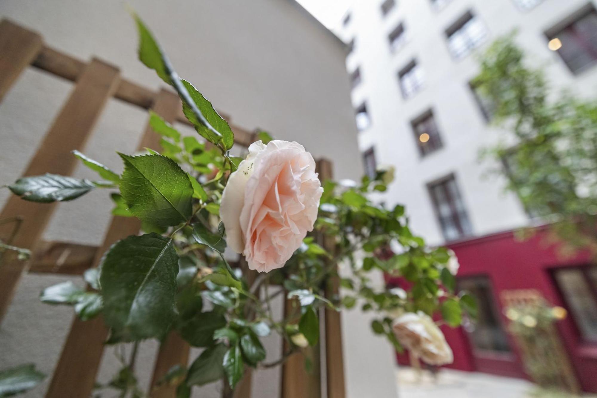 Apartment Petito Paris